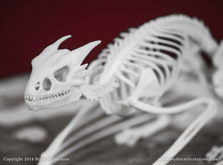 Horned Wyvern Skeleton 3d printed 