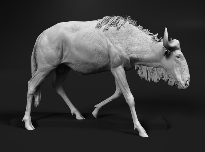 Blue Wildebeest 1:64 Male on uneven surface 1 3d printed 