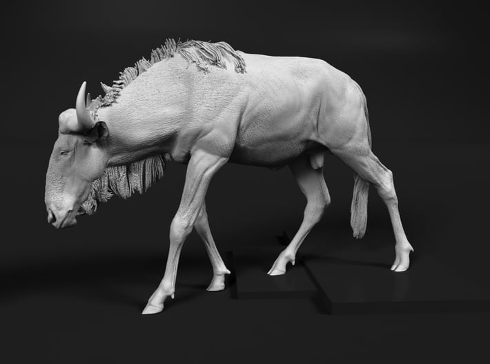 Blue Wildebeest 1:22 Male on uneven surface 2 3d printed 