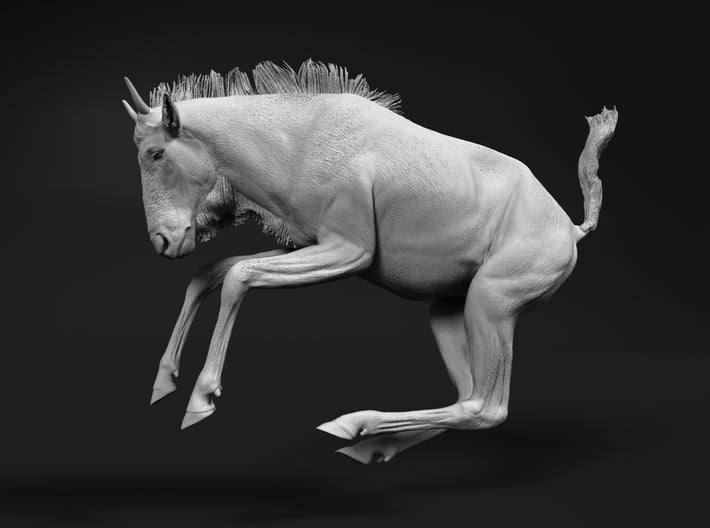 Blue Wildebeest 1:45 Leaping Juvenile 3d printed 