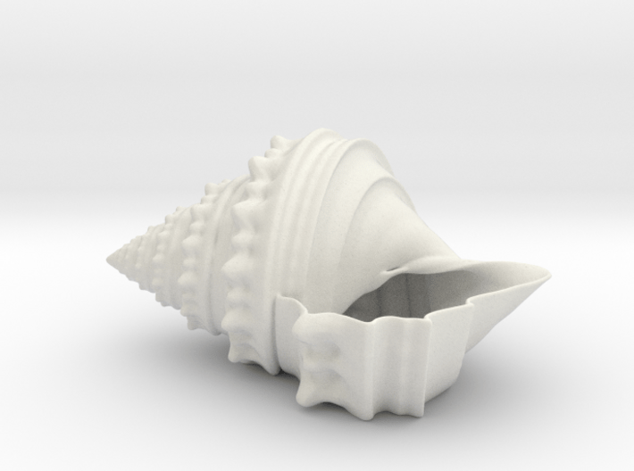 Shell Planter 3d printed 