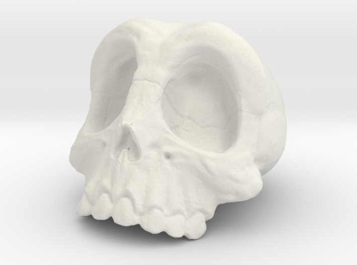 Skull with more detail 3d printed