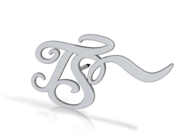 TS logo 3d printed