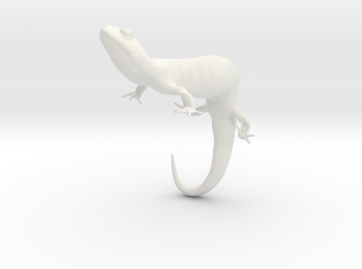 Salamander 6.4cm 3d printed 