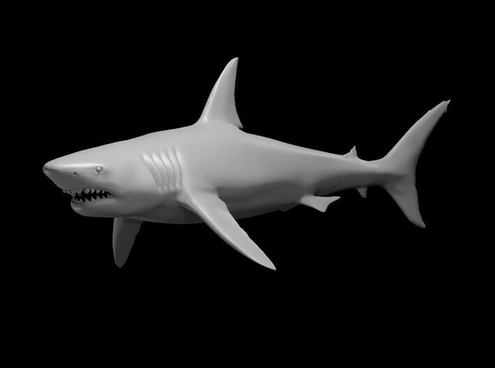 Hunter Shark 3d printed