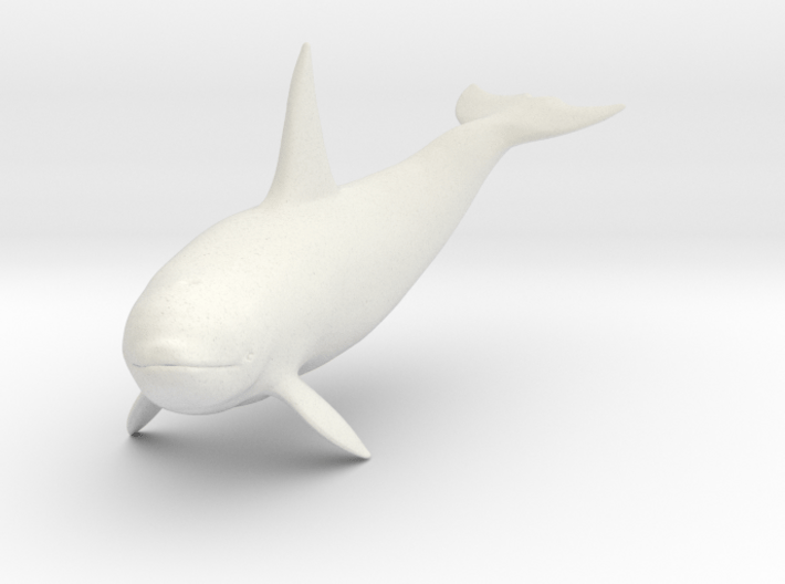 Killer Whale 3d printed 
