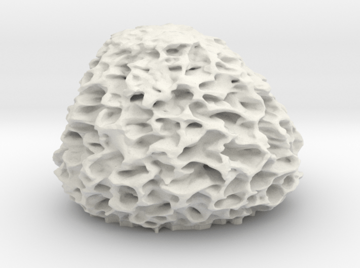 Morel Mushroom Short 3d printed