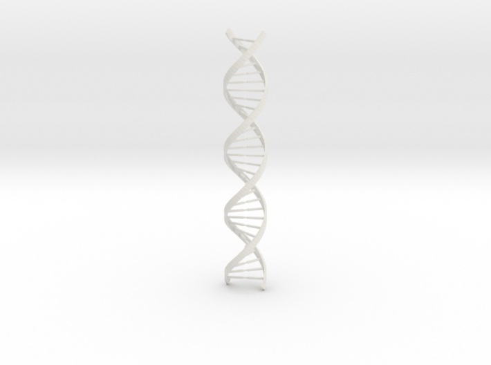 DNA Long 3d printed 