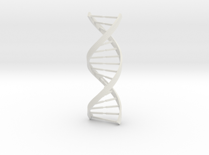 DNA 3d printed 