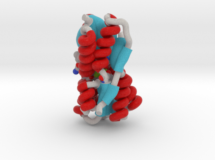 Ribose Binding Protein 2DRI 3d printed