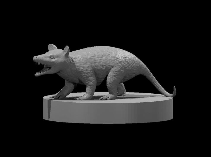 Opossum 3d printed 