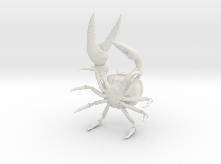 Fiddler Crab - Small 3d printed 
