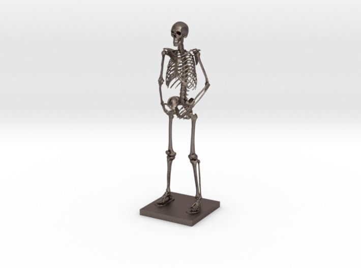 6" Desktop Skeleton 3d printed 
