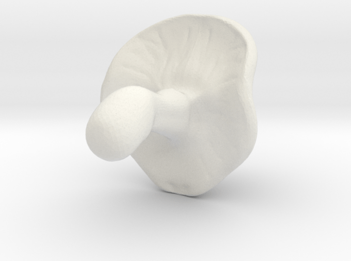 mushroom_test 3d printed