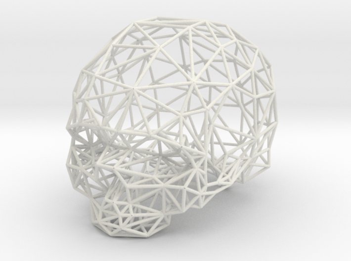 Skull Wireframe 3d printed 