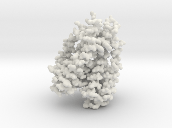 KcsA Ion Channel 3d printed 