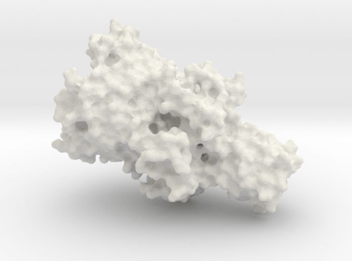 Mechanosensitive Ion Channel - Surface Render 3d printed 