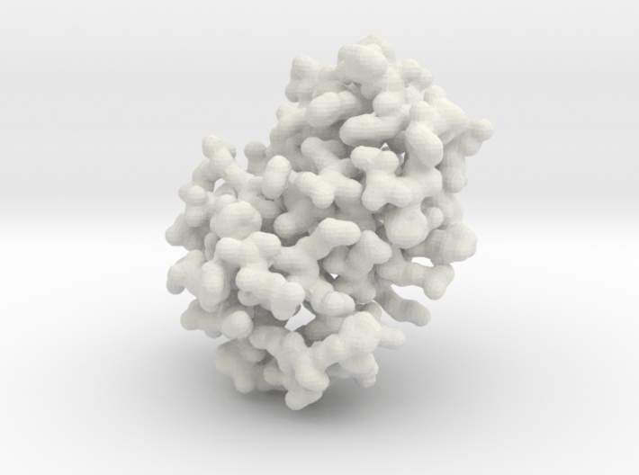 Human Hemoglobin - Monomer, all atom 3d printed 