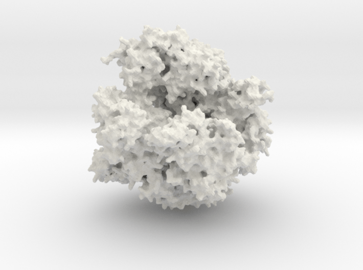 RNA Polymerase - Surface Render 3d printed