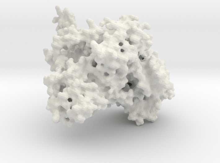 Topoisomerase with DNA 3d printed 