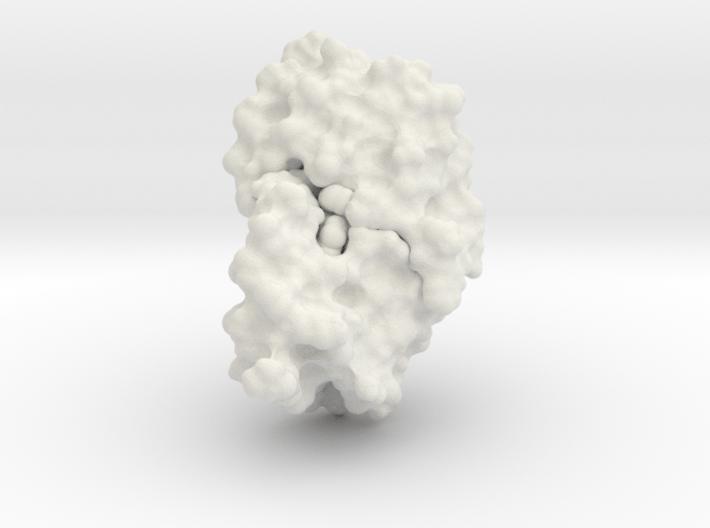 HIV Protease - Molecular Surface 3d printed 