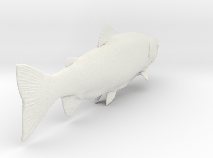 trout1 3d printed 