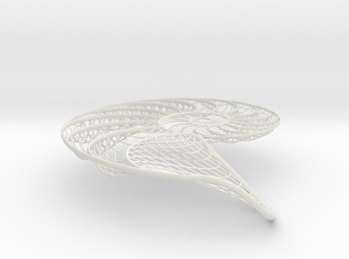 Nautilus Shell Structure 3d printed 