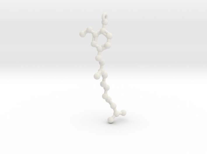 Pendant- Molecule- Capsaicin (Spice) 3d printed 