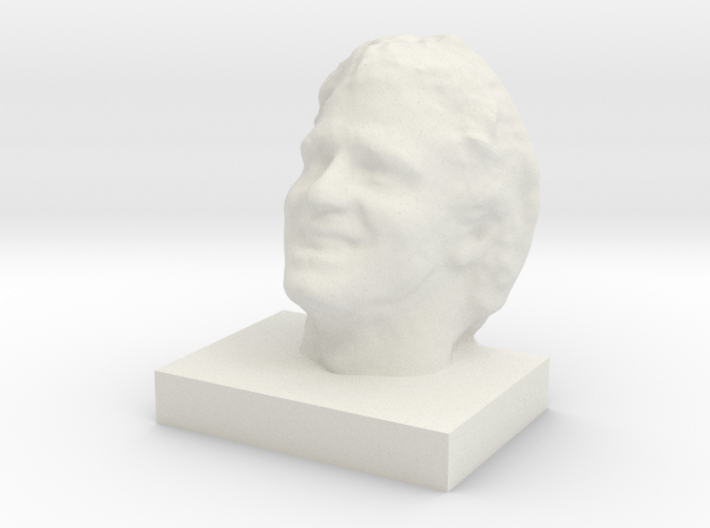 Face Scan - 3.5" 3d printed 