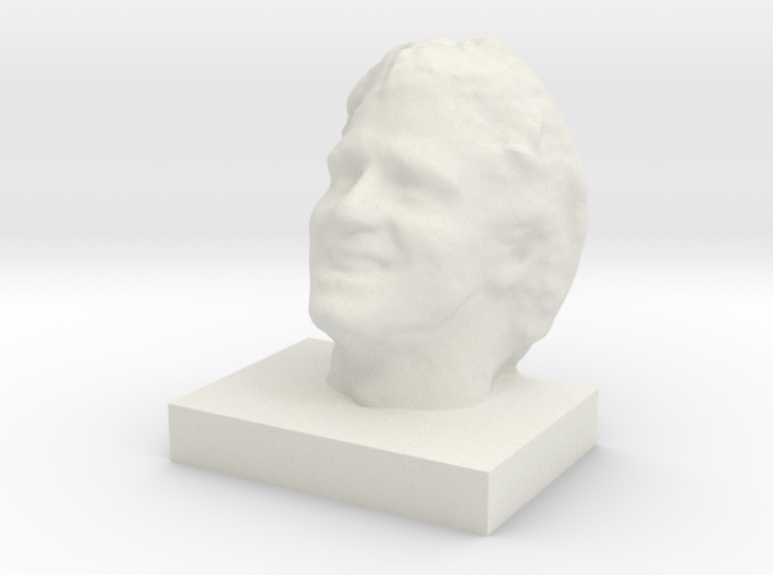 Face Scan - 7&quot; 3d printed