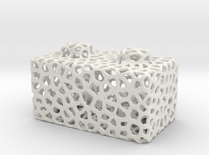 Seej Bloxen, Voronoi 3d printed