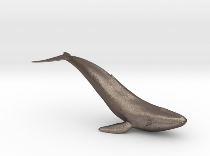 Bluewhale 3d printed 