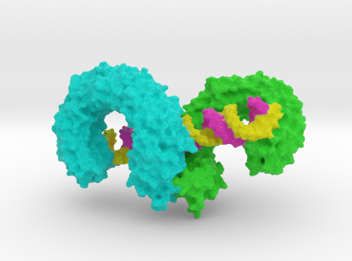 Toll Like Receptor And RNA 3d printed