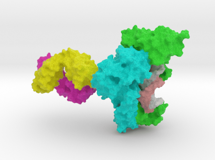 HIV-1 RTranscriptase 3d printed 