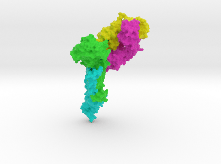 Hemagglutinin Antibody 3d printed
