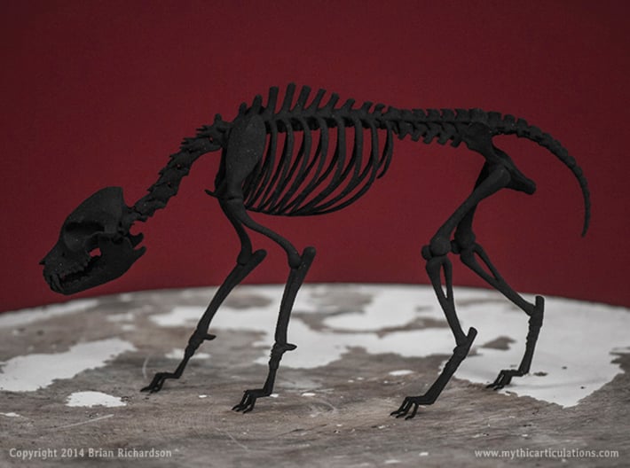 Black Shuck Skeleton 3d printed