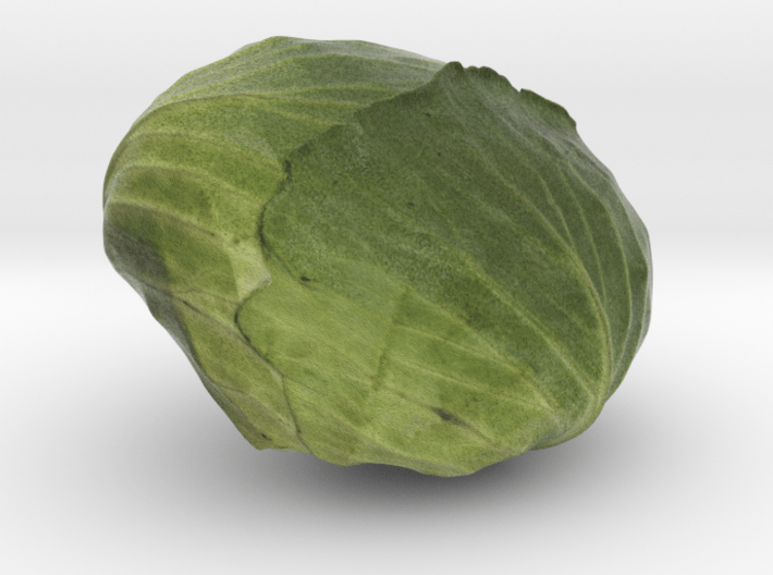 The Cabbage 3d printed 