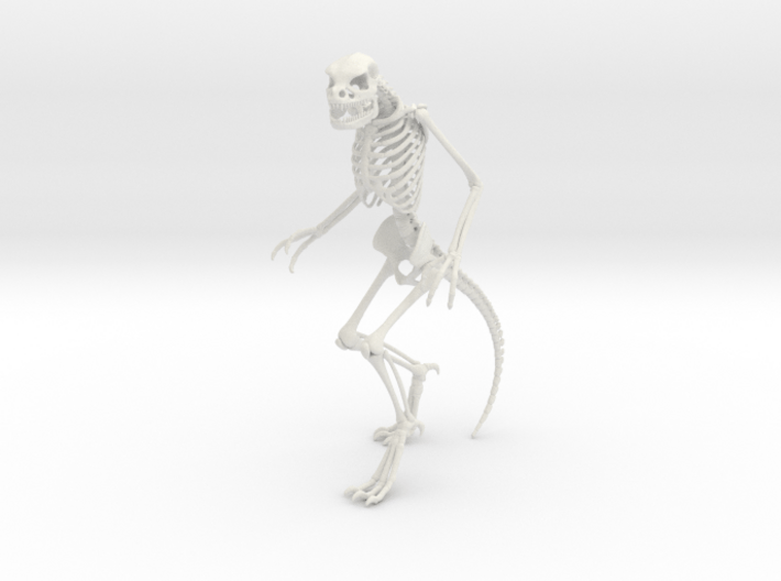 Lizard Man Skeleton 3d printed 