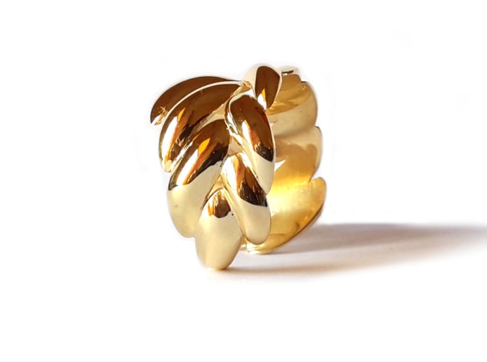 SPIGA ring 3d printed Polished Brass