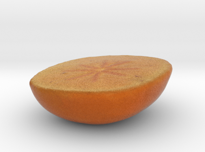The Persimmon-Lower Half 3d printed 