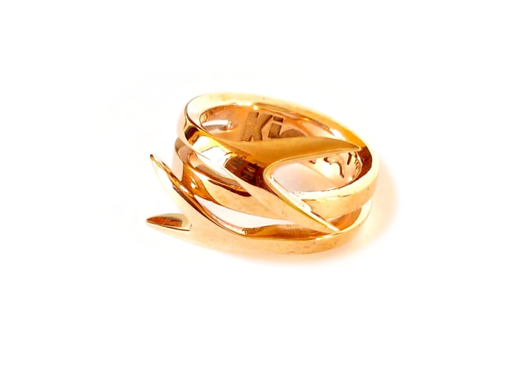 TAILS ring 3d printed Polished Bronze