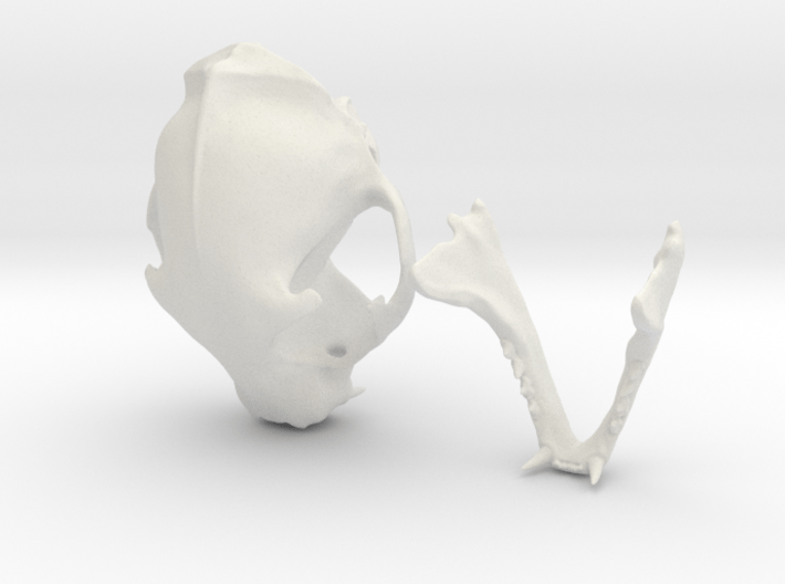 Mid-Sized Cat Skull Sculpture 3d printed 