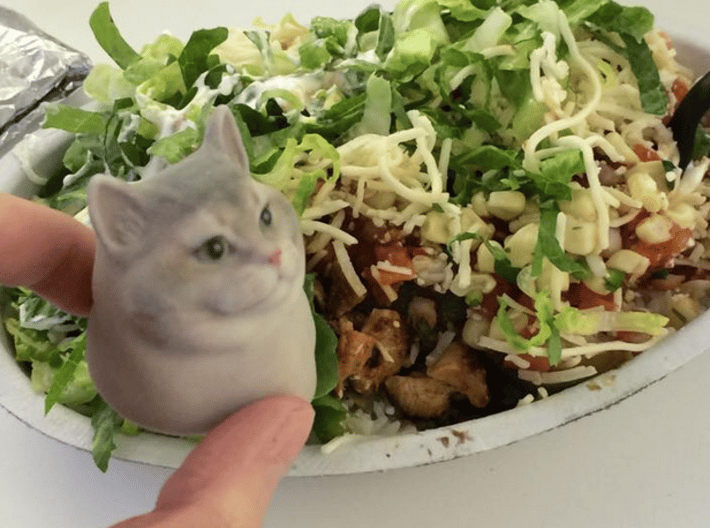 Heavy Breathing Cat 3d printed CHIPOTLE! 