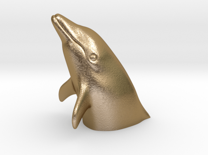 Peeking Dolphin S (Head) 3d printed 