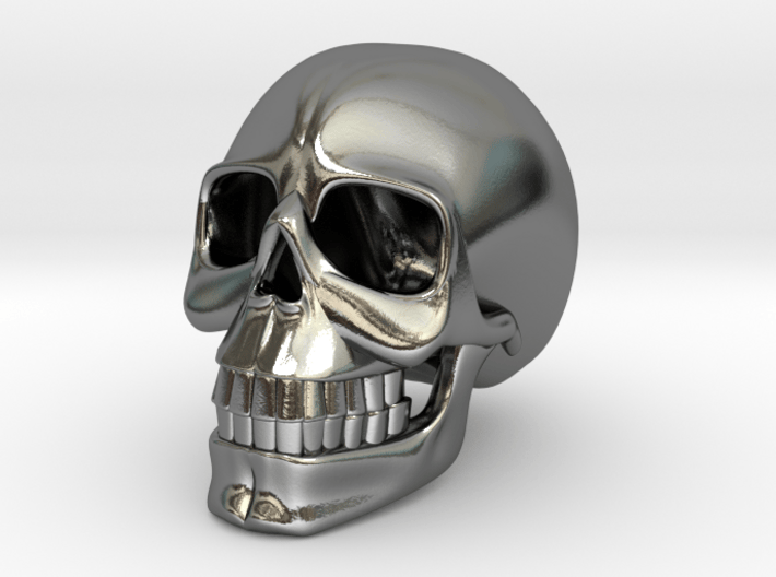 SKULL( install your order.) 3d printed 