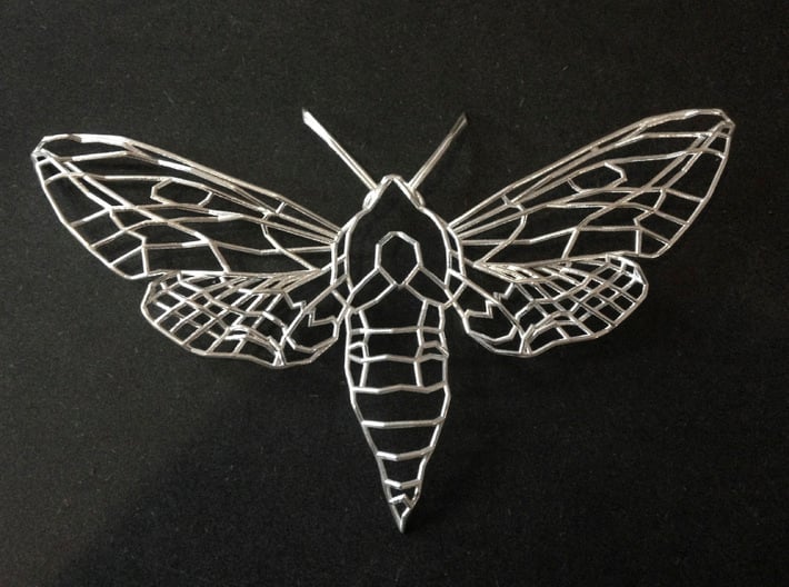 The Spurge Hawk-moth  3d printed 