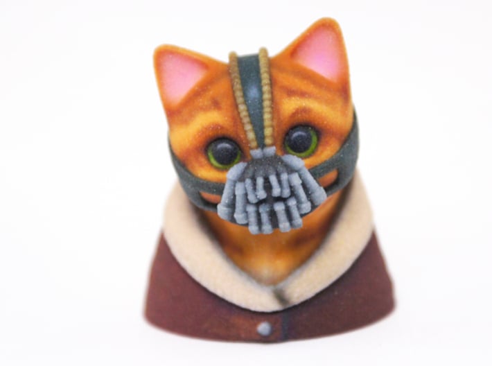 Bane Cat 3d printed 