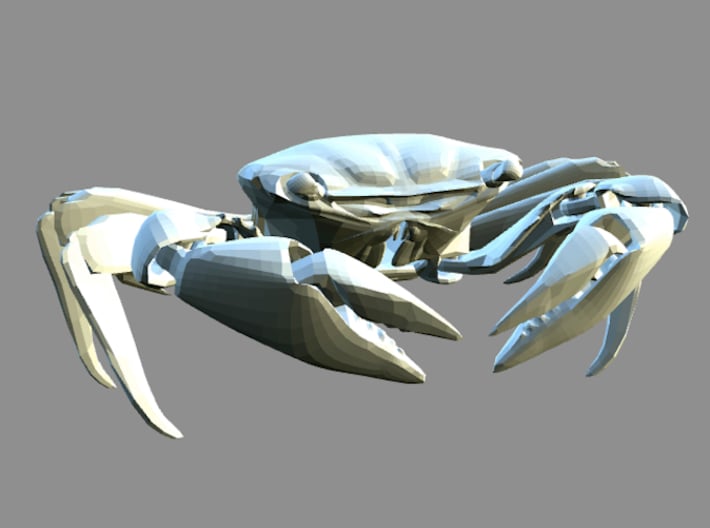 Articulated Crab (Pachygrapsus crassipes) 3d printed Rendering