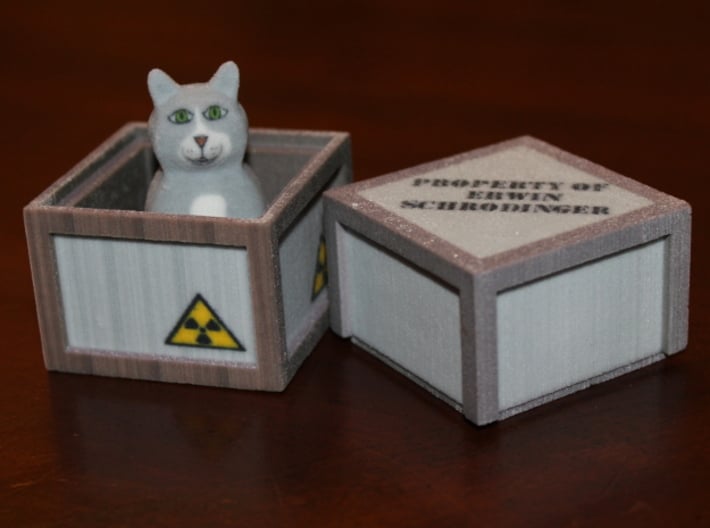 Schrödinger's Cat and Box 3d printed Alive in Box