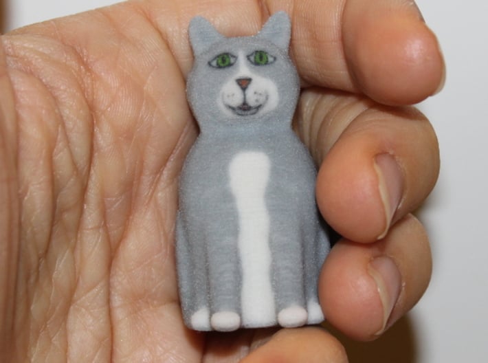 Schrödinger's Cat and Box 3d printed Alive in Hand